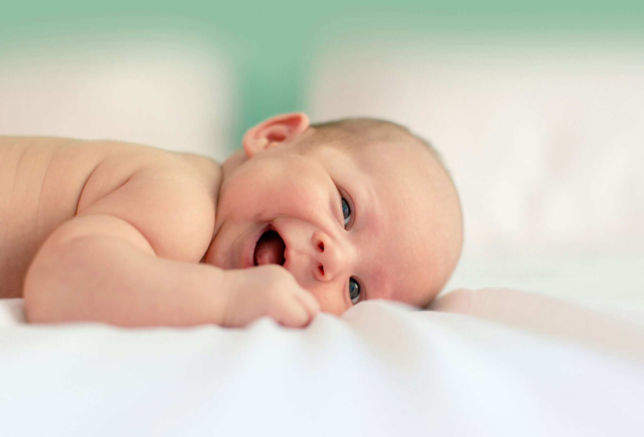 Quality, Environment, Health & Safety